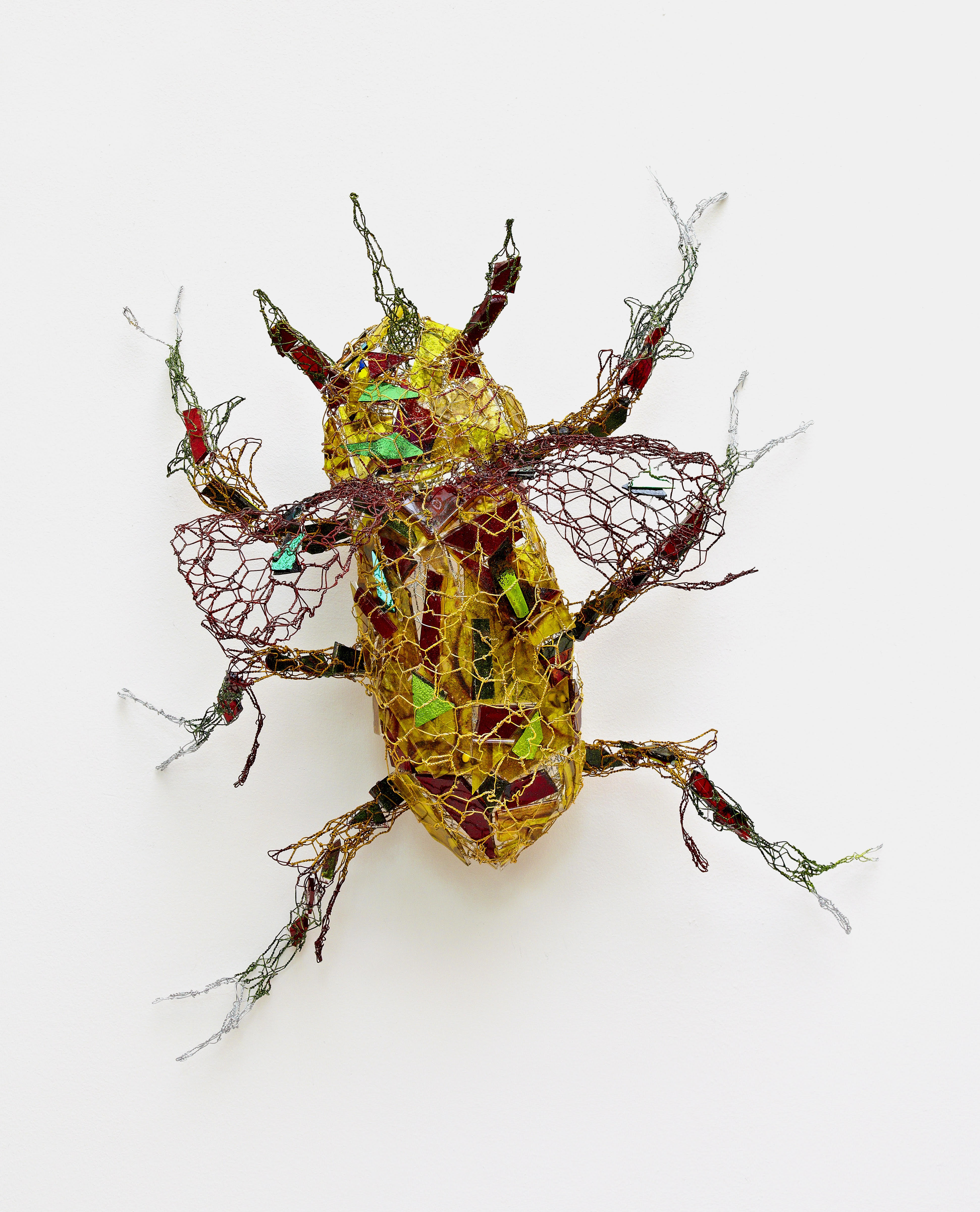 Honey Beetle by Joan Danziger