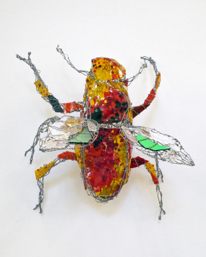 Red Blaze Beetle by Joan Danziger